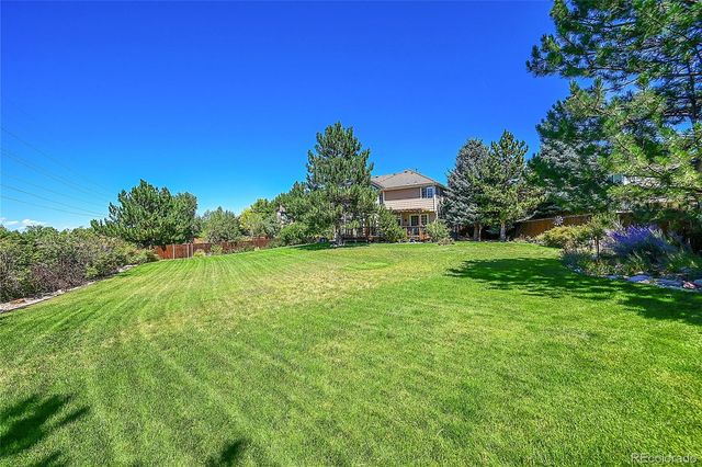 a view of a garden with trees