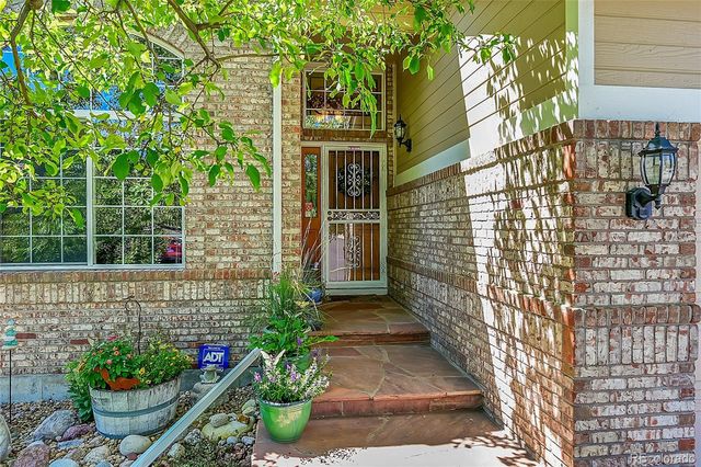 a bunch of flowers in back yard