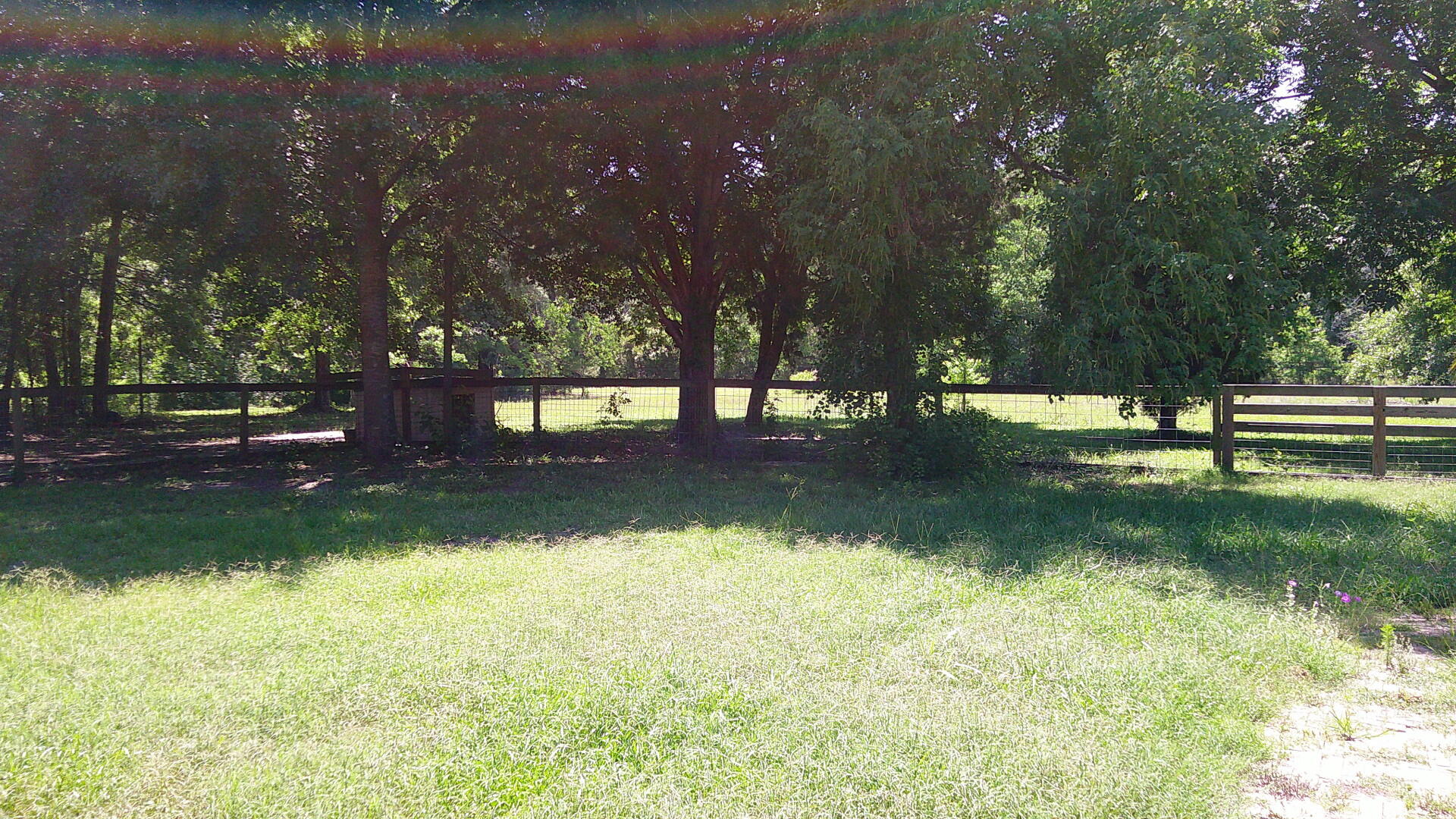 222 Fiddie Street Ladson, SC 29485 - Photo 5 of 7