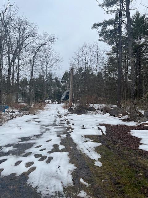 62 Wards Cove Road Standish, ME 04084 - Photo 4 of 6 View of top of lot