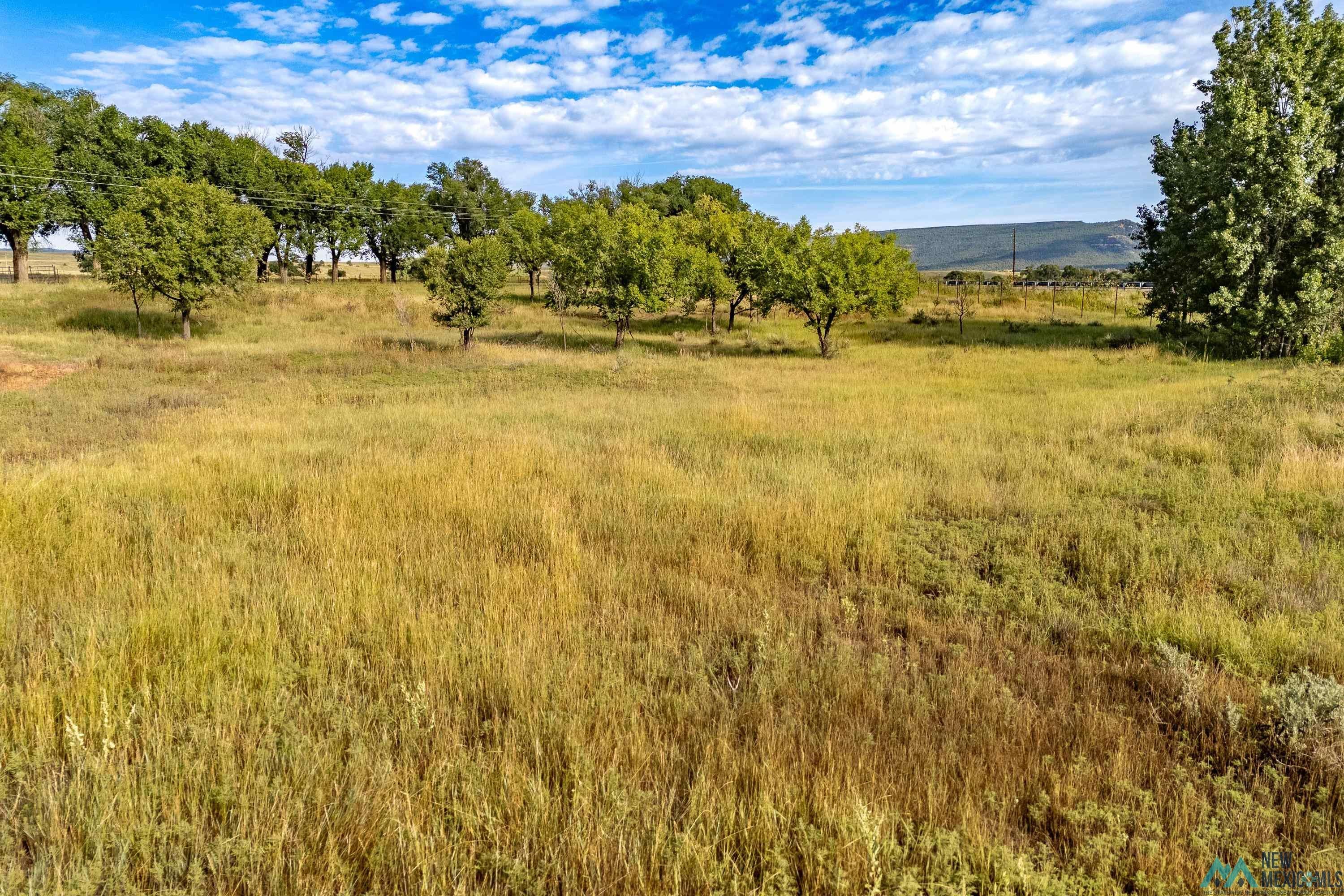 35234 Highway 87 Raton, NM 87740 - Photo 71 of 90 View of local wilderness with rural landscape