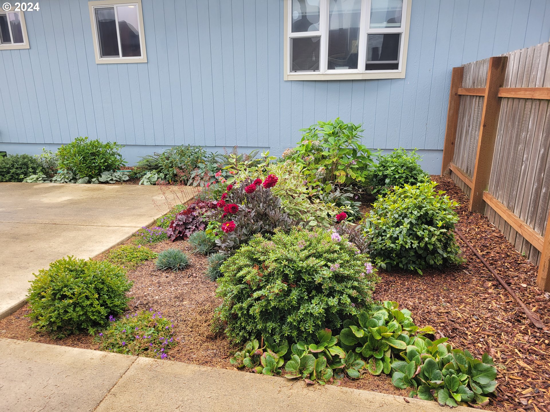 55091 Franklin Road Bandon, OR 97411 - Photo 6 of 34 Backyard