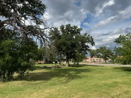 a view of yard with green space and trees