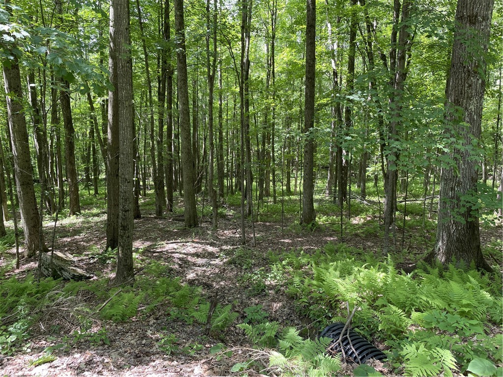 Flat, wooded 5 acre parcel