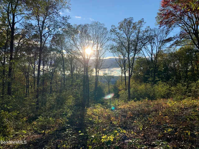 a view of mountain view with lots of green space
