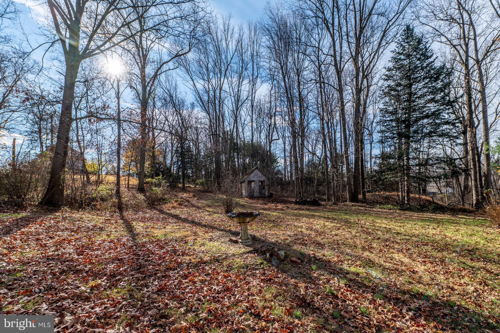 929 North Manor Road Honey Brook, PA 19344 - Photo 39 of 56 a view of a backyard with trees
