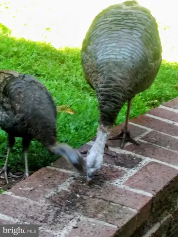 $429,900 | 929 North Manor Road, Honey Brook, PA 19344