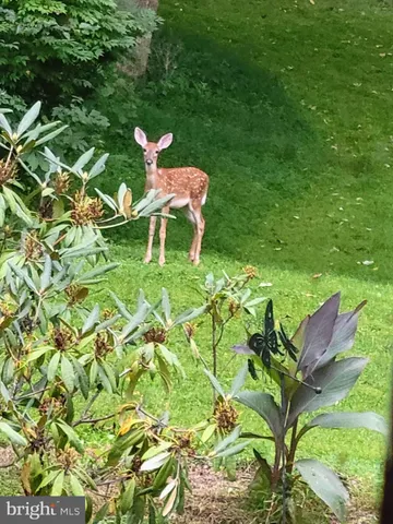 $429,900 | 929 North Manor Road, Honey Brook, PA 19344