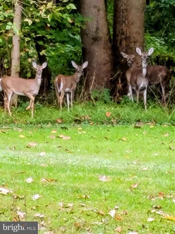 $429,900 | 929 North Manor Road, Honey Brook, PA 19344