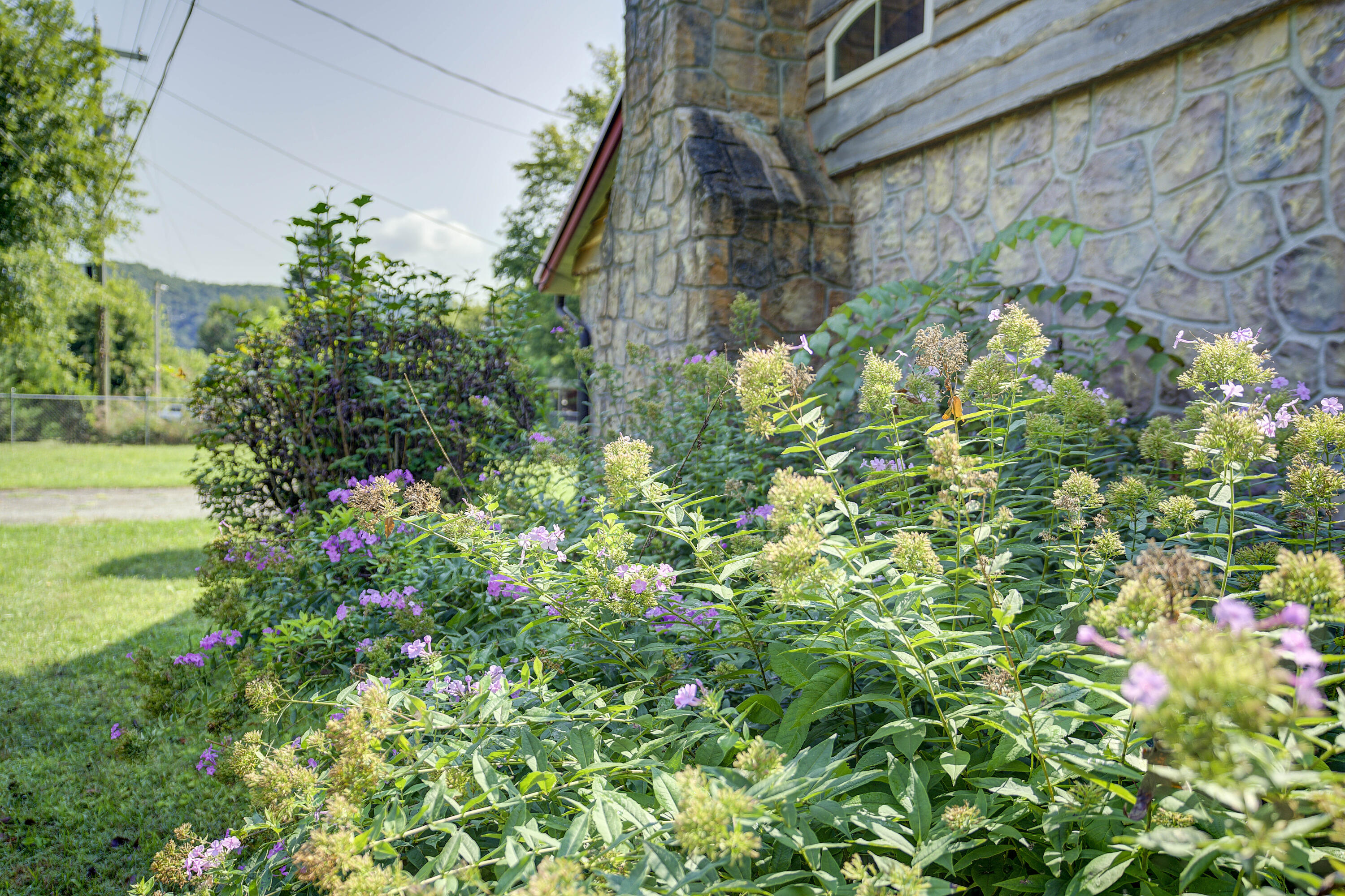 212 Bumpus Cove Road Erwin, TN 37650 - Photo 42 of 68 Bumpus-41