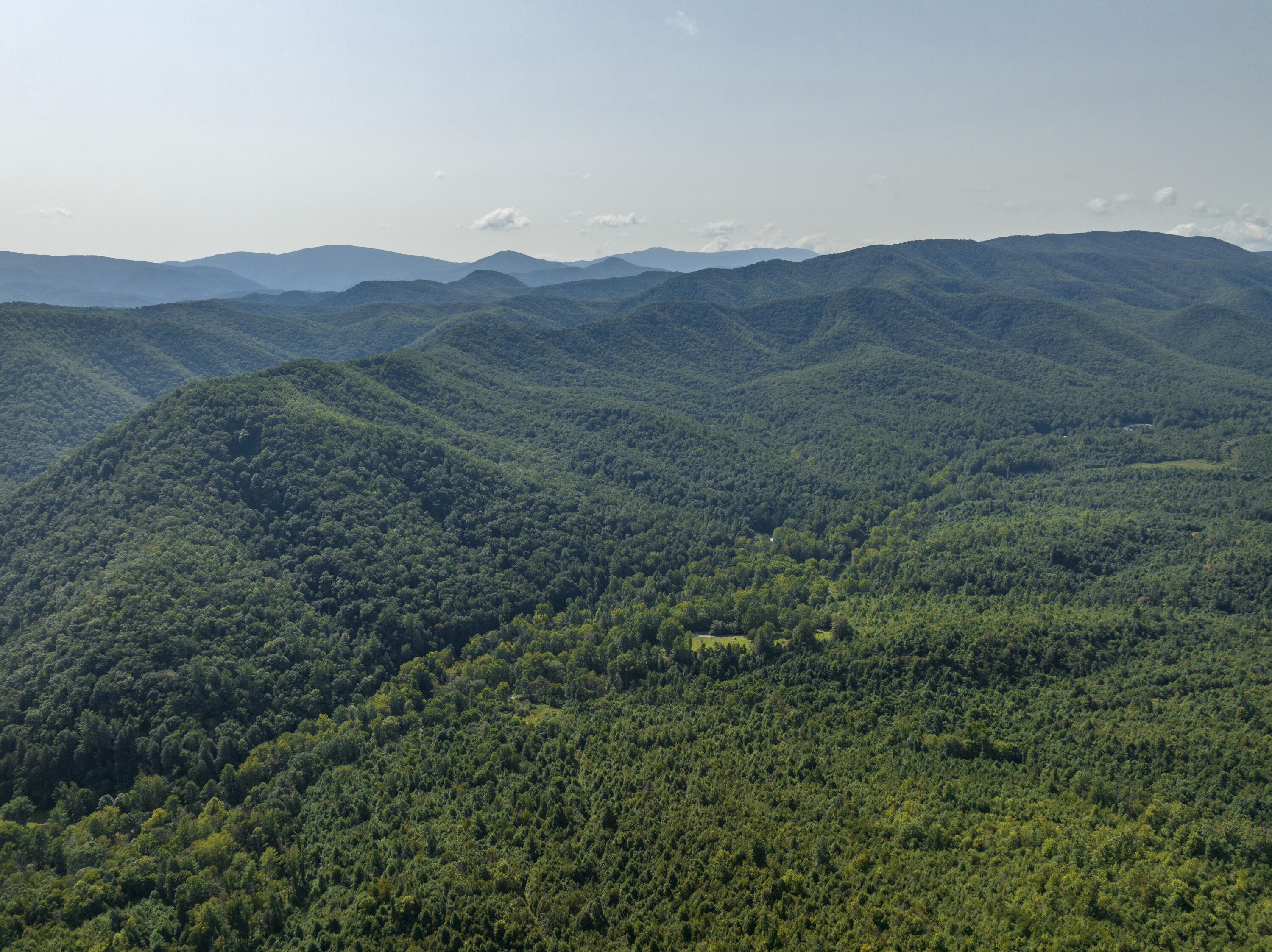 212 Bumpus Cove Road Erwin, TN 37650 - Photo 64 of 68 Bumpus-Aerials-22