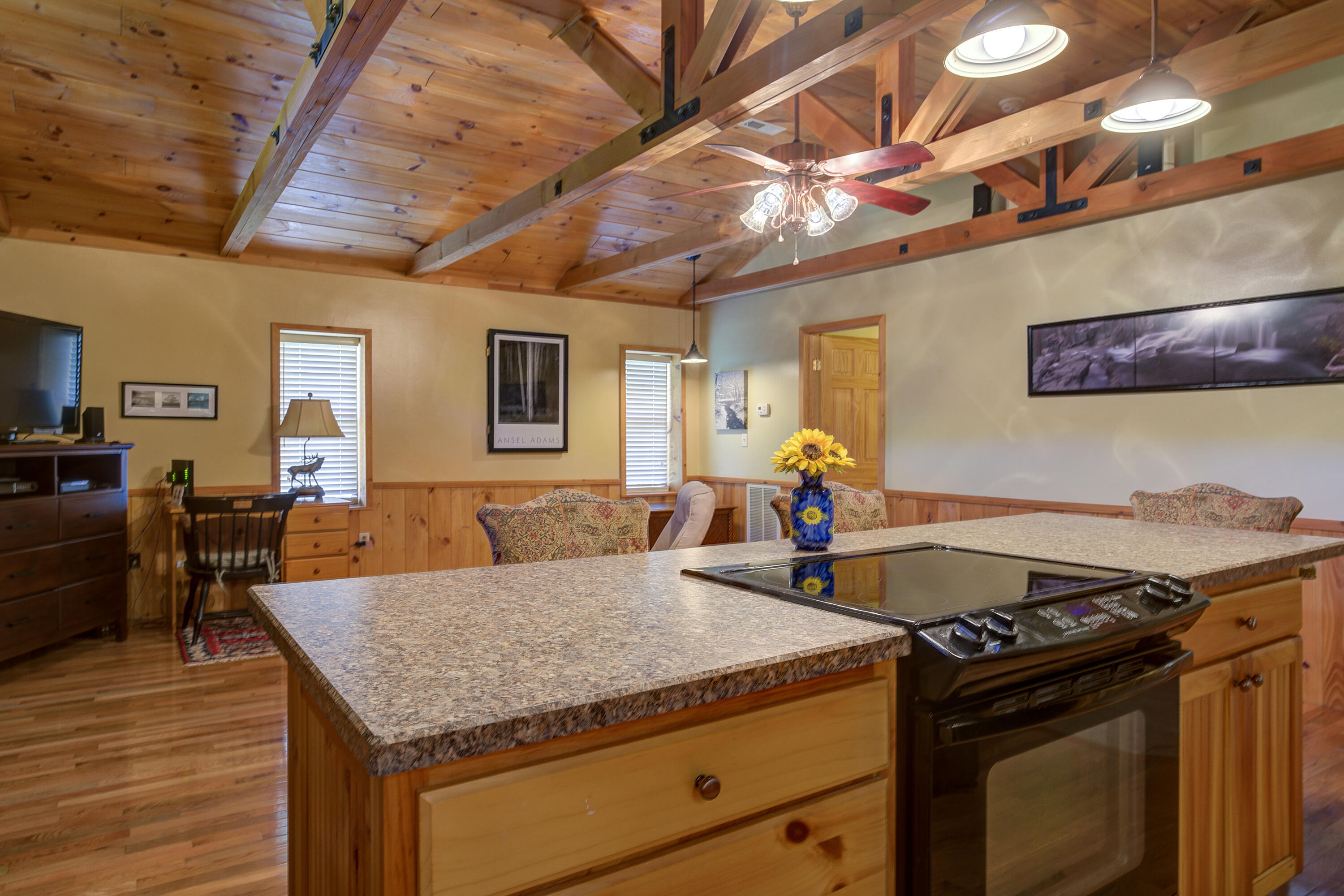 212 Bumpus Cove Road Erwin, TN 37650 - Photo 9 of 68 Bumpus-8