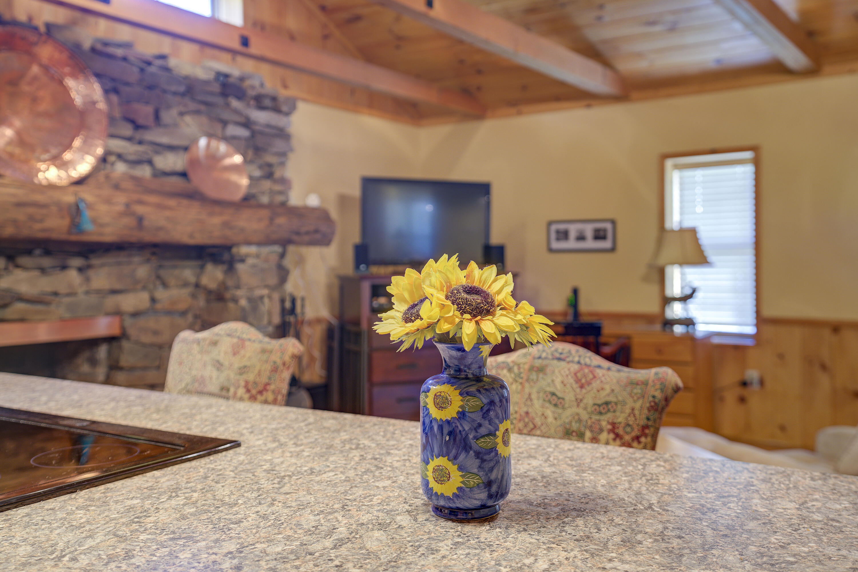 212 Bumpus Cove Road Erwin, TN 37650 - Photo 10 of 68 Bumpus-9