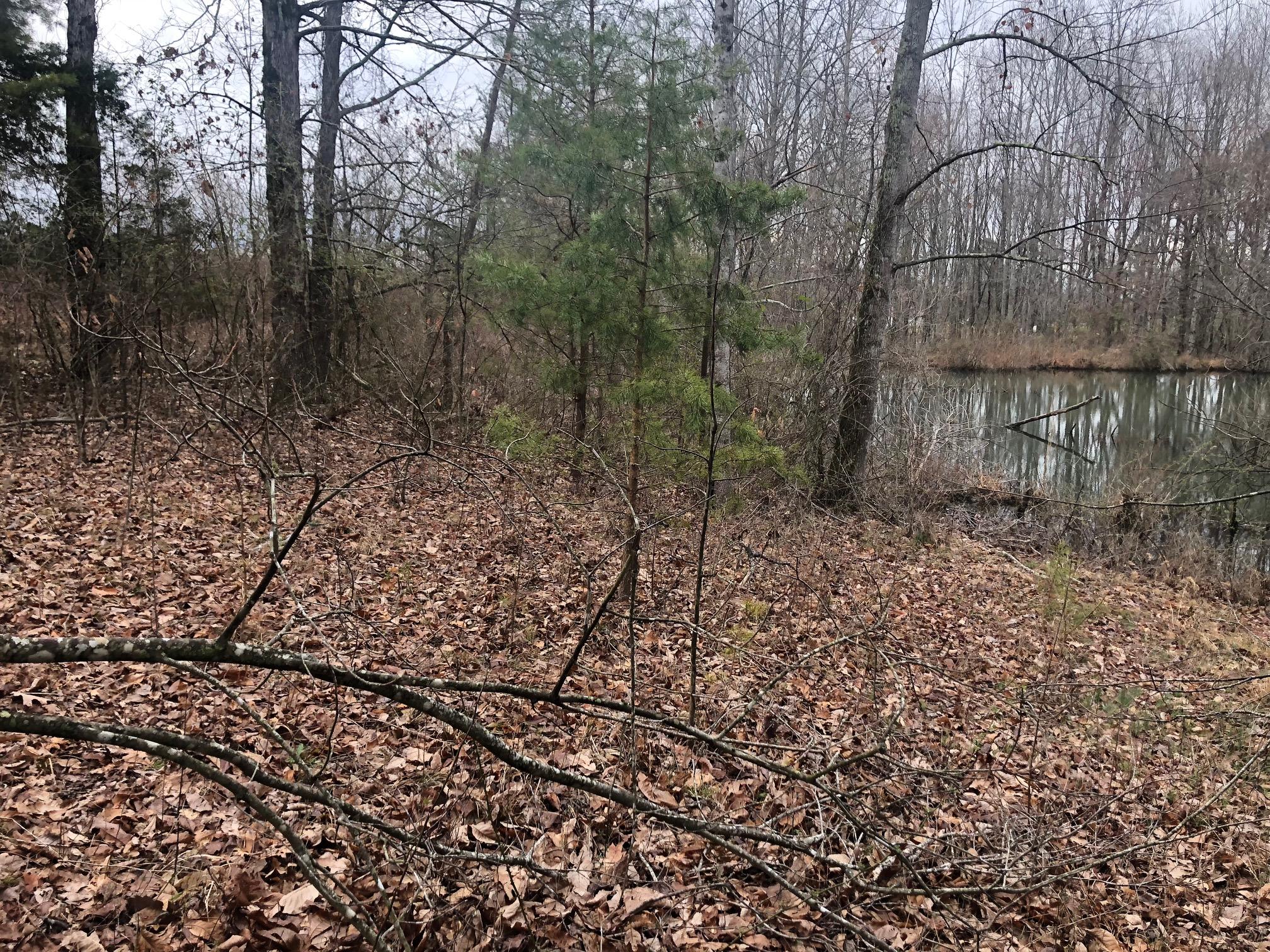 2833 Young Road Soddy Daisy, TN 37379 - Photo 22 of 34 IMG_3786