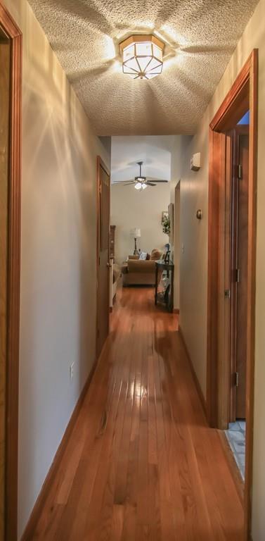 411 Thayer Road Hardwick, MA 01082 - Photo 16 of 40