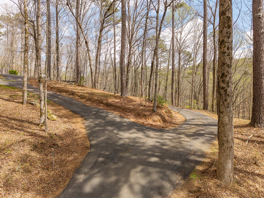 134 Nicholson Lane Talking Rock, GA 30175 - Photo 64 of 71