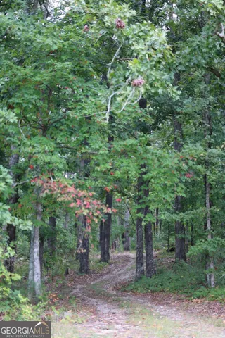 a backyard of a house with lots of trees