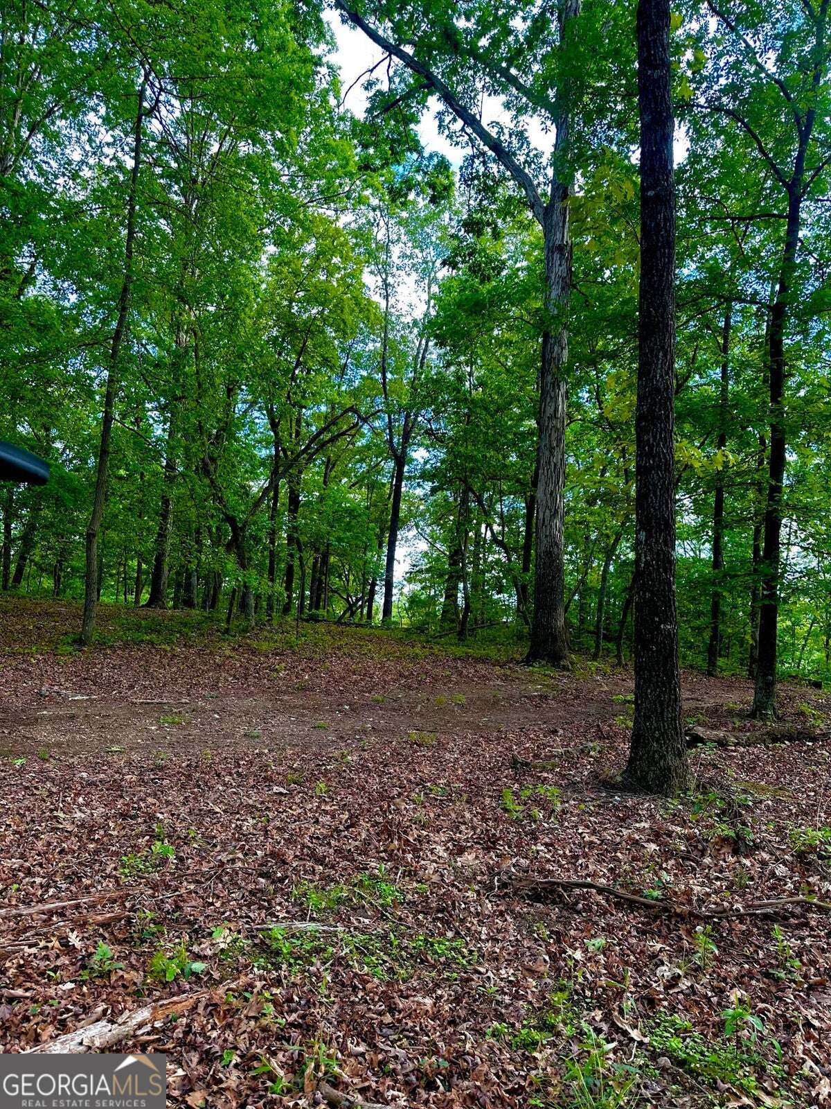 -tract 5 Highway 2 Dalton, GA 30721 - Photo 17 of 36 a view of a forest with trees in the background