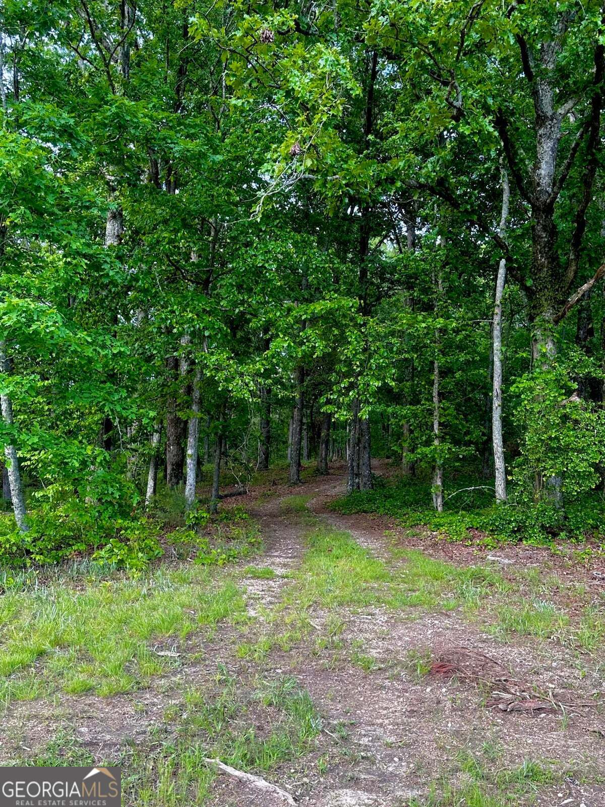 -tract 5 Highway 2 Dalton, GA 30721 - Photo 19 of 36 a view of a backyard with a trees