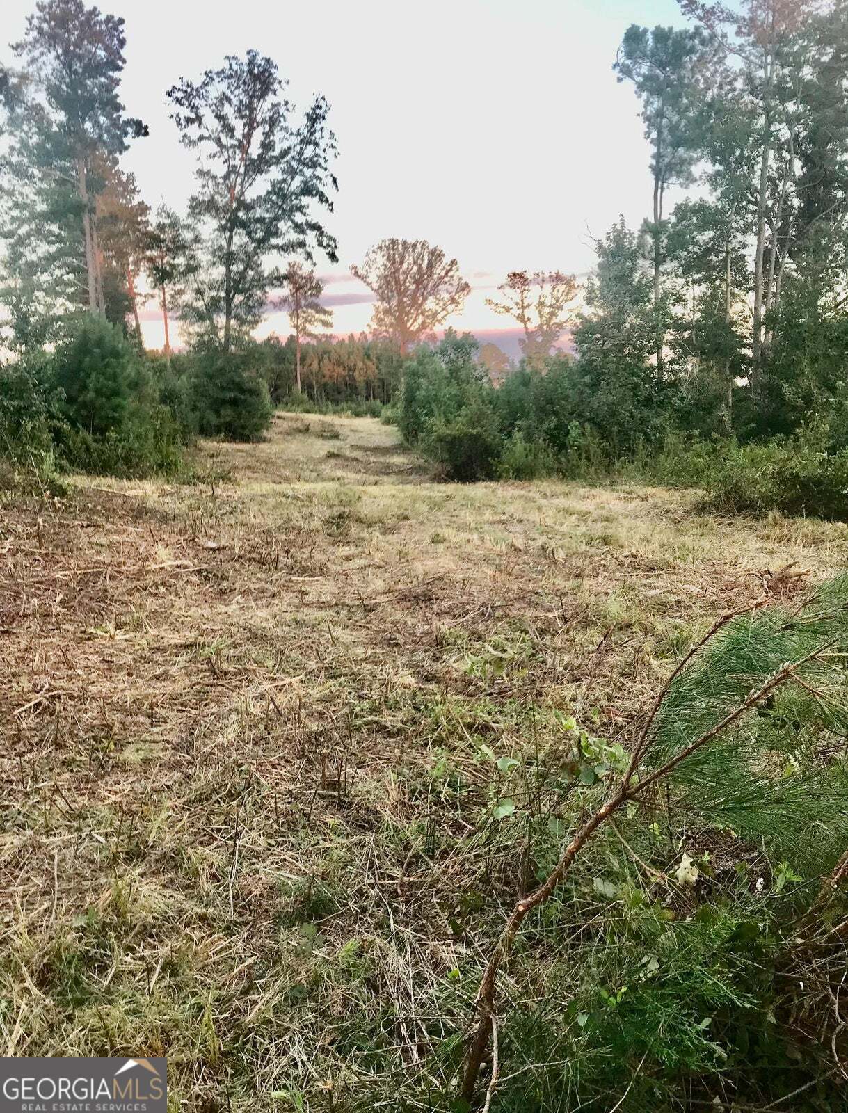 -tract 5 Highway 2 Dalton, GA 30721 - Photo 2 of 36 a view of outdoor space and trees