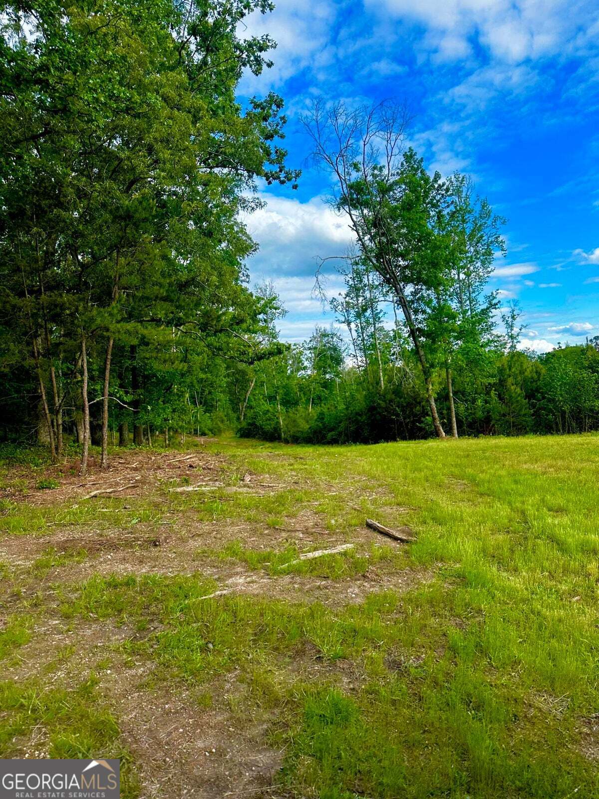 -tract 5 Highway 2 Dalton, GA 30721 - Photo 21 of 36 a view of a field with a tree