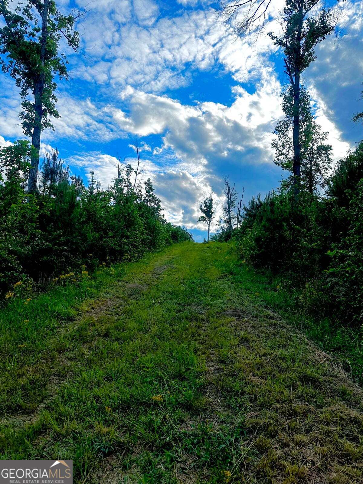 -tract 5 Highway 2 Dalton, GA 30721 - Photo 23 of 36 a view of a big yard with a large tree
