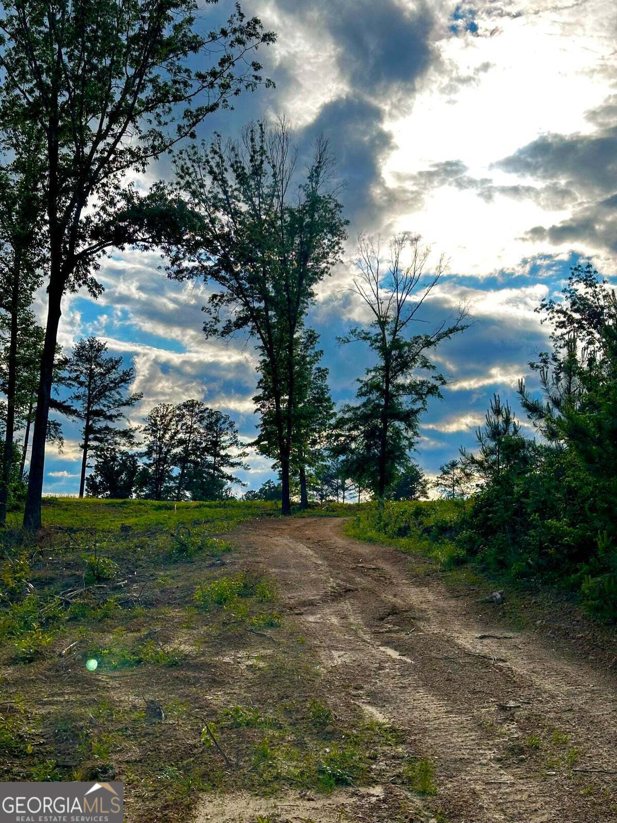 -tract 5 Highway 2 Dalton, GA 30721 - Photo 24 of 36 a view of a big yard with plants and large trees
