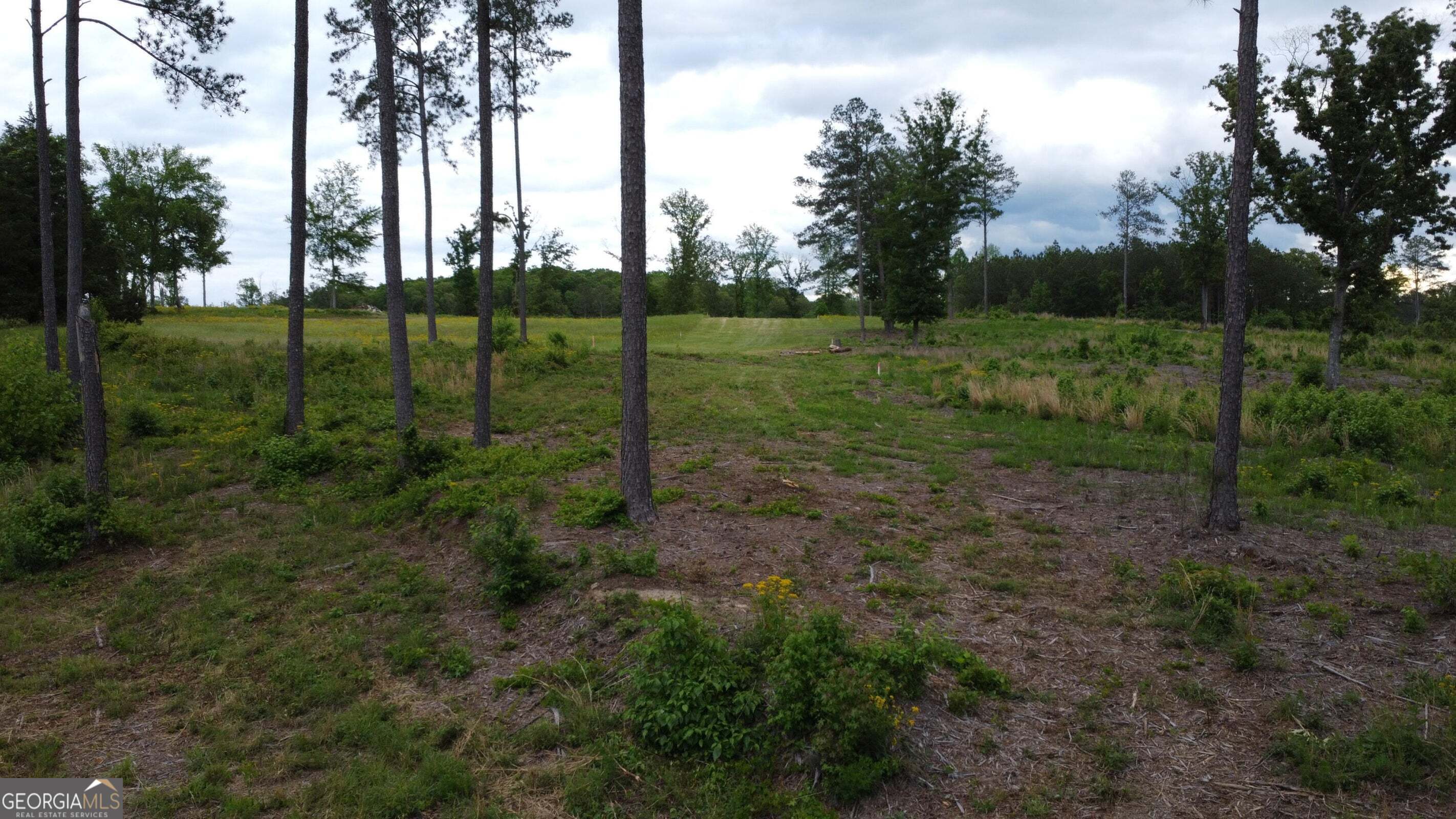 -tract 5 Highway 2 Dalton, GA 30721 - Photo 25 of 36 a view of a backyard