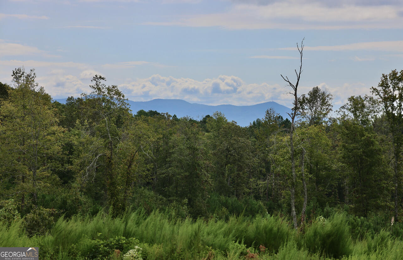 -tract 5 Highway 2 Dalton, GA 30721 - Photo 3 of 36 a view of a city