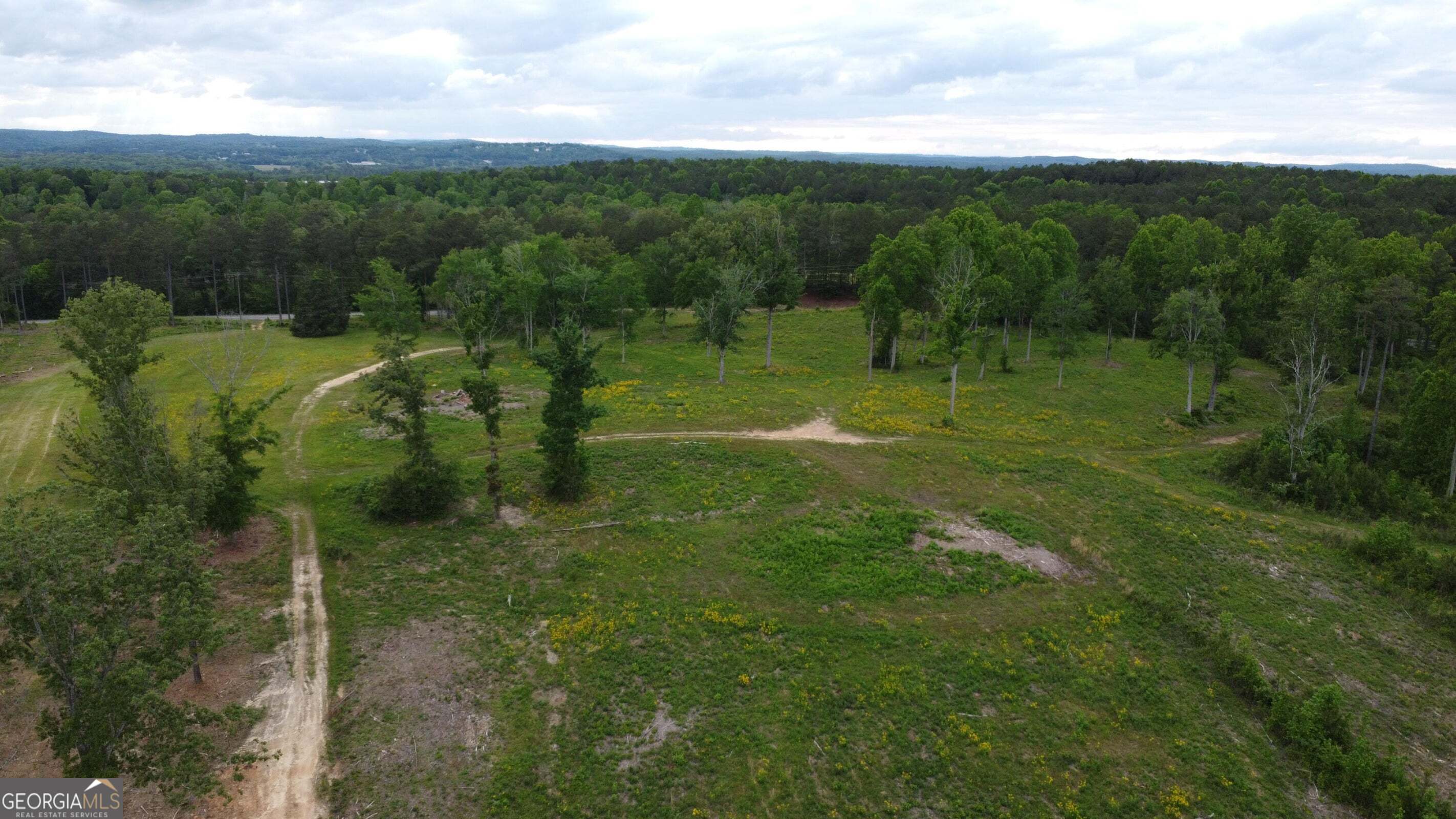 -tract 5 Highway 2 Dalton, GA 30721 - Photo 33 of 36 a view of a green field with lots of trees
