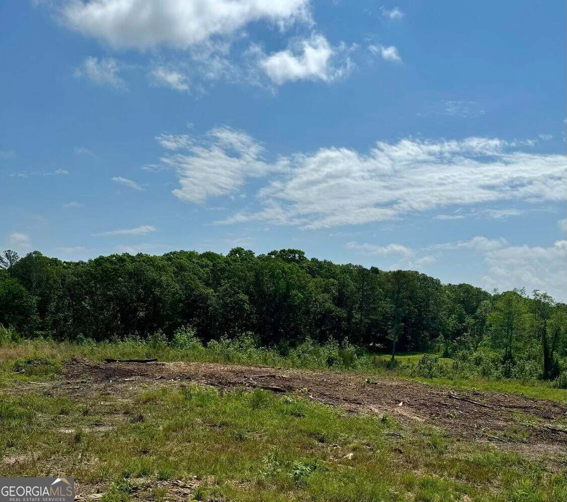-tract 5 Highway 2 Dalton, GA 30721 - Photo 5 of 36 a view of a big yard with lots of green space