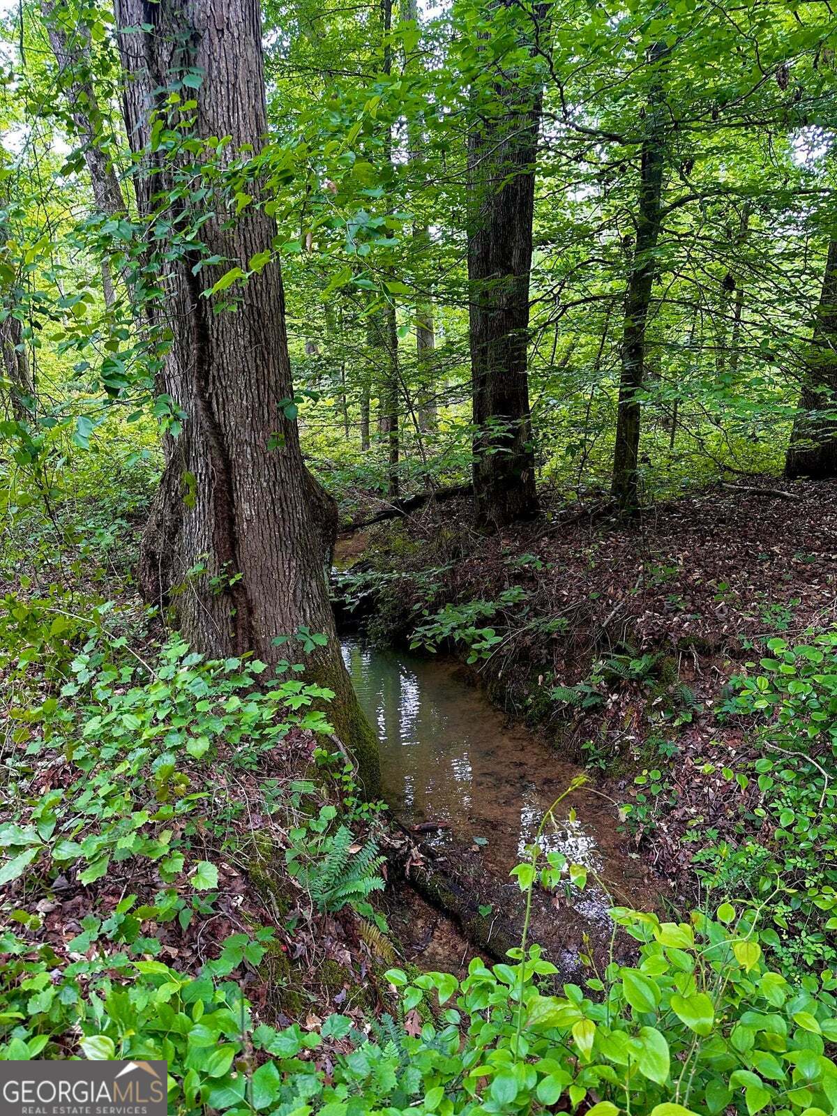 -tract 5 Highway 2 Dalton, GA 30721 - Photo 8 of 36 a view of a garden with large trees