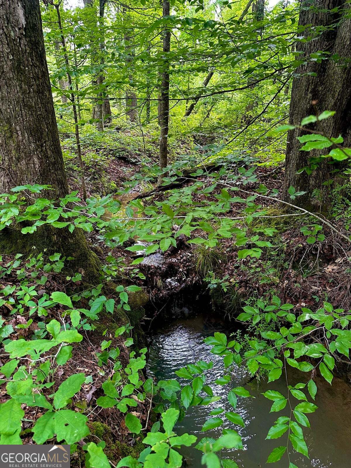 -tract 5 Highway 2 Dalton, GA 30721 - Photo 9 of 36 a view of a garden