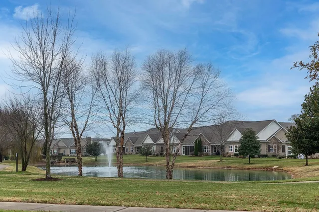 a view of large yard with green space and trees