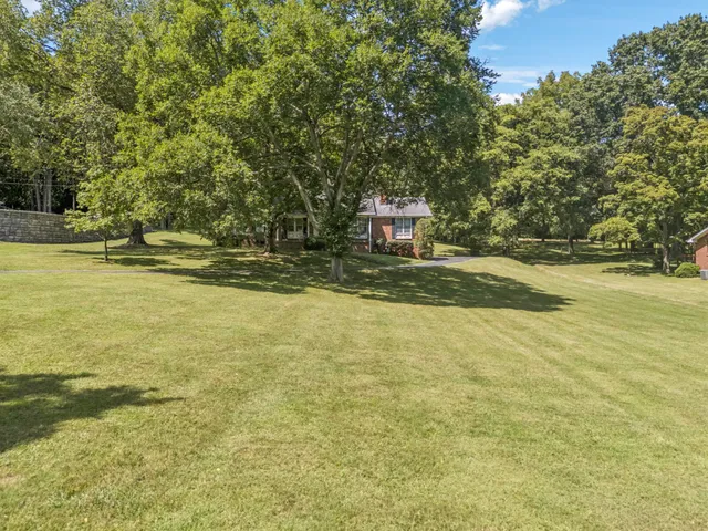 a view of a yard with a trees