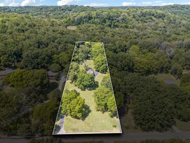 a view of a yard with a tree