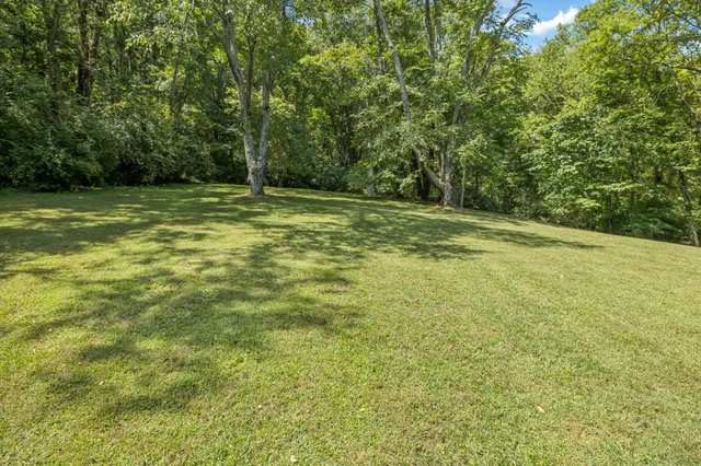 a view of a patio with table and chairs and potted plants with large tree