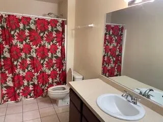 a bathroom with a toilet a sink and a shower curtain