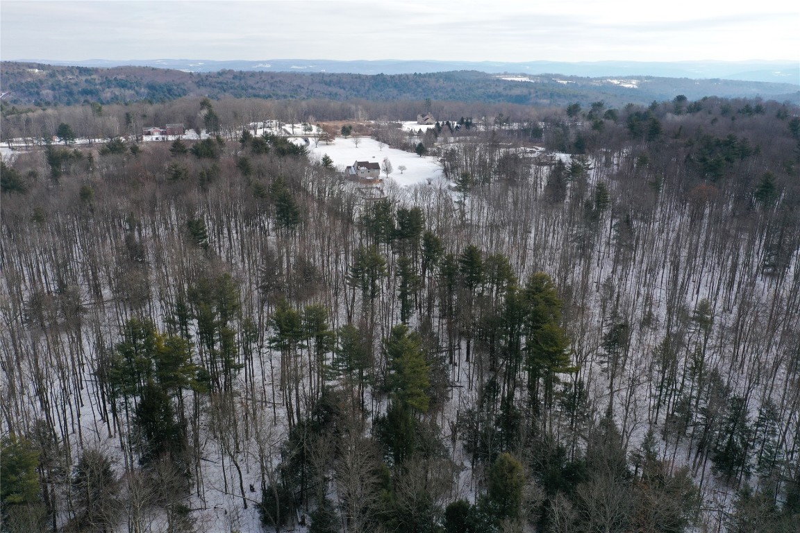 805 Brotzman Road Binghamton, NY 13901 - Photo 47 of 50 Gallery Image 47