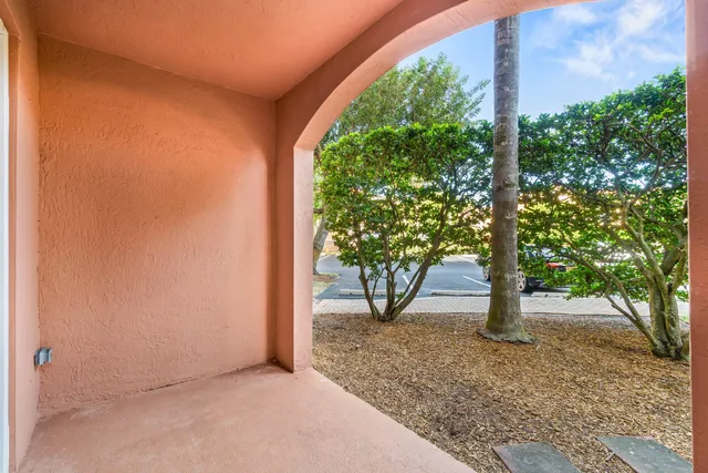 a view of a backyard with large trees and plants