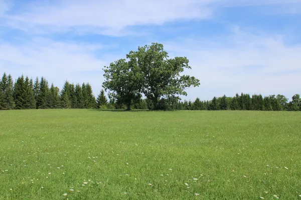 $480,000 | 2812 Shoreline Drive, Lupton, MI 48635