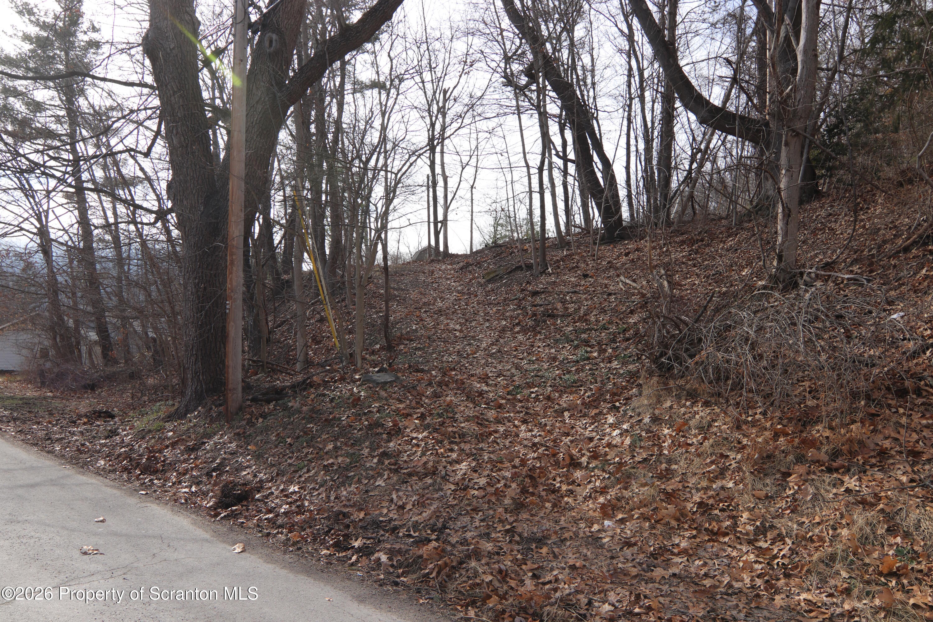 502 State Rte 92 South Tunkhannock, PA 18657 - Photo 49 of 52 a view of a yard with trees