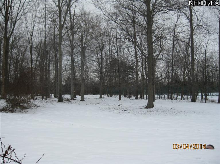 24205 Randolph Road Bedford Heights, OH 44146 - Photo 2 of 15