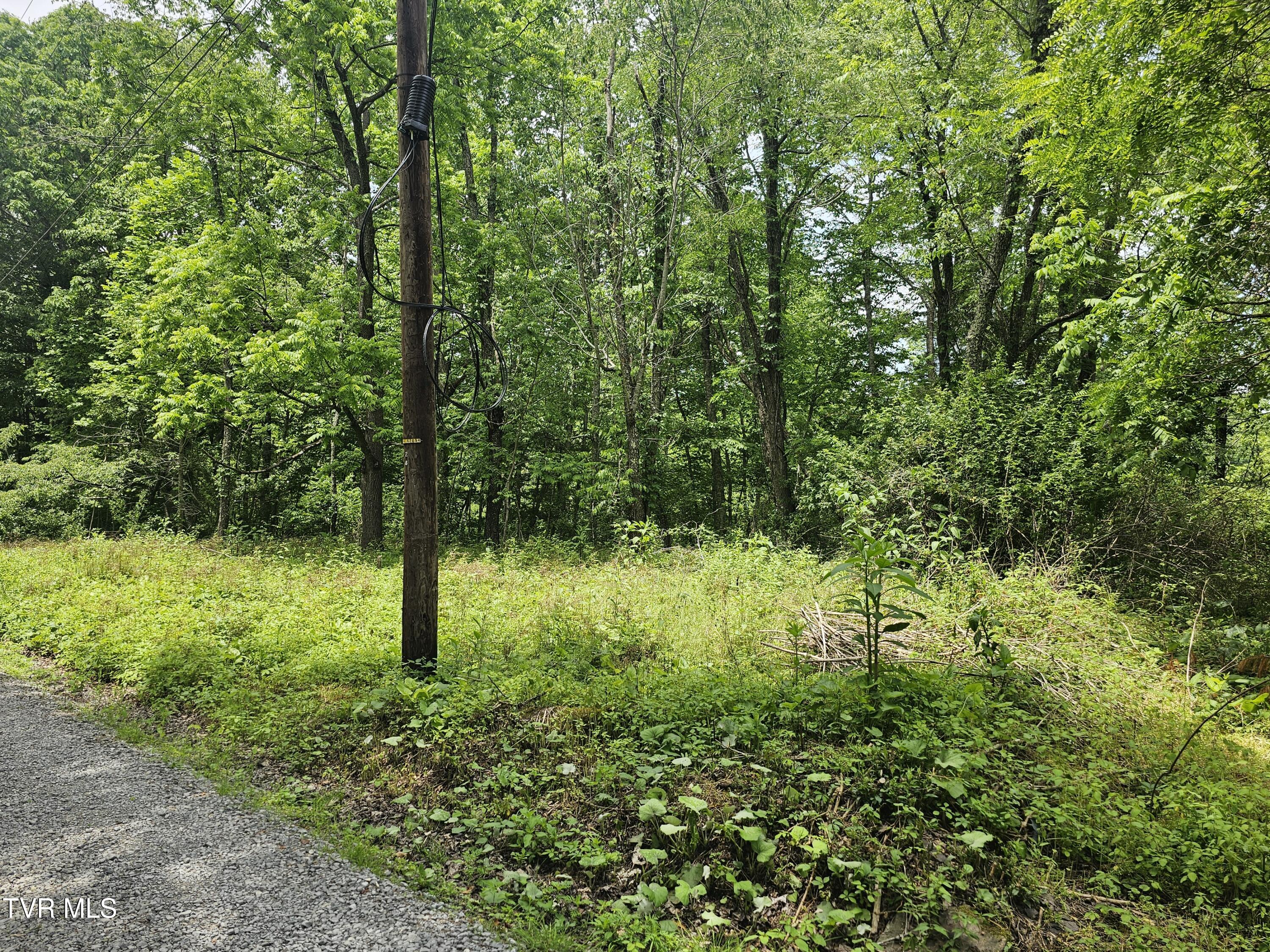 Tbd Hurricane Road Wise, VA 24293 - Photo 12 of 14 Off Gilliam Rd
