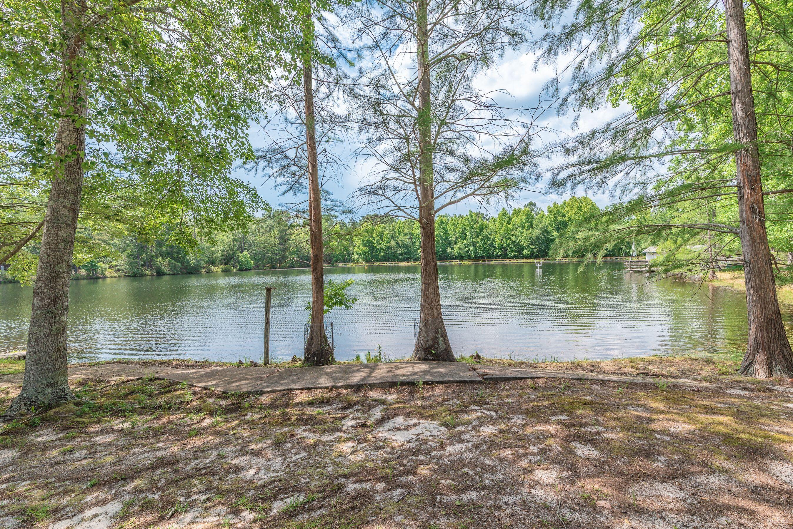 1366 Cummings Road Ridge Spring, SC 29129 - Photo 34 of 150