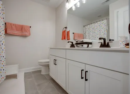 a bathroom with a sink a toilet and mirror