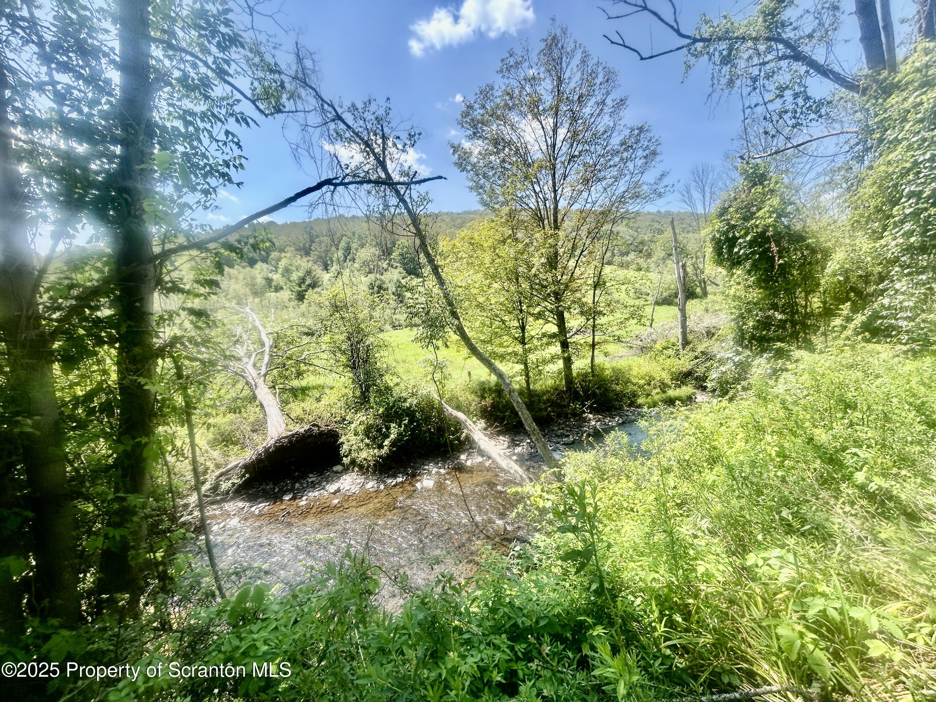 270 Starrucca Creek Road Starrucca, PA 18462 - Photo 37 of 51 Creek
