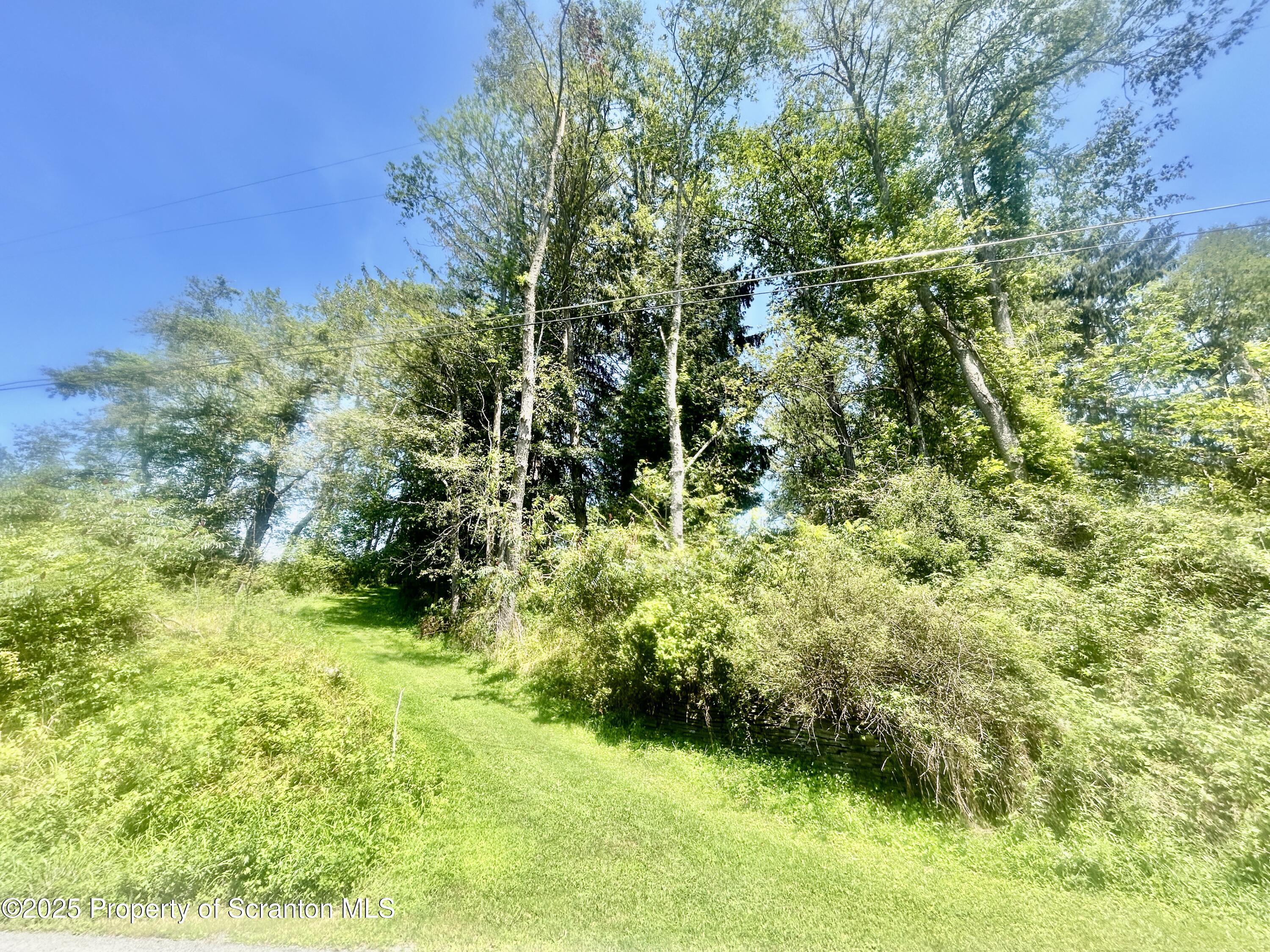 270 Starrucca Creek Road Starrucca, PA 18462 - Photo 39 of 51 Yard