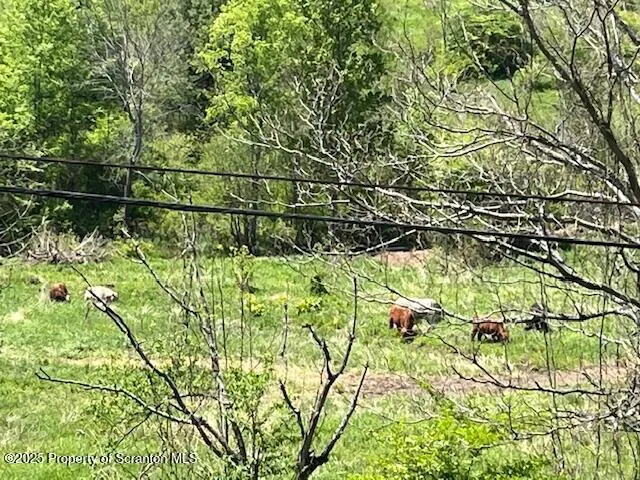 $174,000 | 270 Starrucca Creek Road, Starrucca, PA 18462