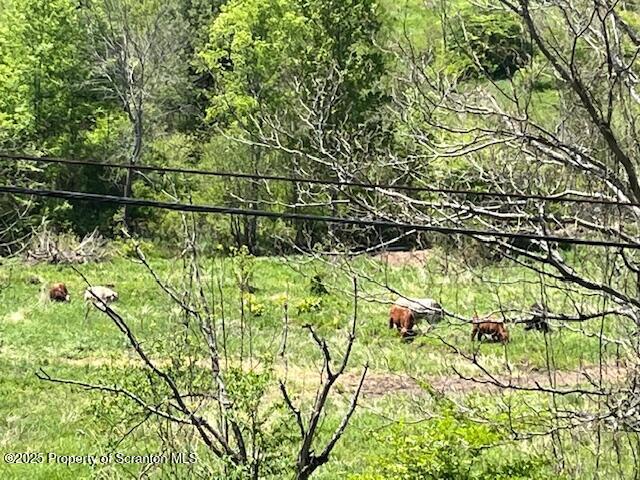 270 Starrucca Creek Road Starrucca, PA 18462 - Photo 40 of 51 a backyard of a house with lots of green space
